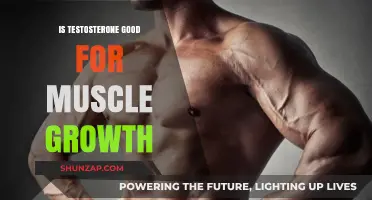 Unlocking Muscle Growth: The Truth About Testosterone's Role
