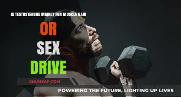 Testosterone's Dual Role: Muscle Growth vs. Sexual Health Explained