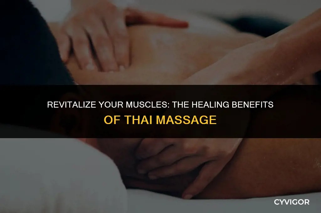 is thai massage good for muscle recovery