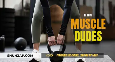 Muscle Dudes: Are They All Brawn and No Brains?