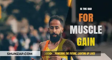THC and Muscle Gain: Debunking Myths for Fitness Enthusiasts