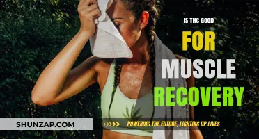 Exploring THC's Potential Benefits for Muscle Recovery After Exercise