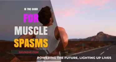 Exploring THC's Potential Benefits for Muscle Spasms Relief