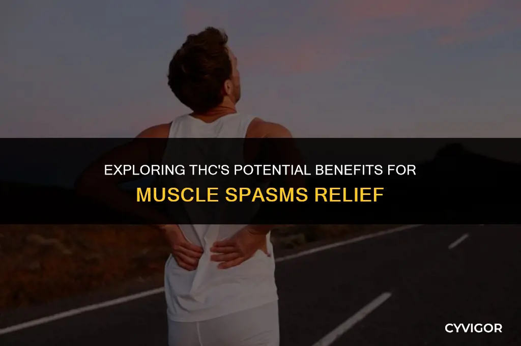 is thc good for muscle spasms