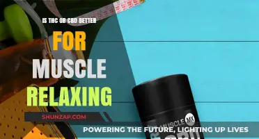 THC vs. CBD: Which Cannabinoid Best Relieves Muscle Tension?