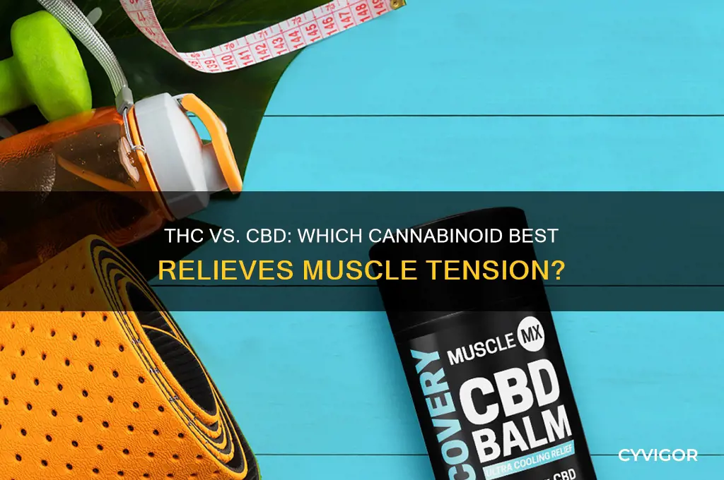 is thc or cbd better for muscle relaxing