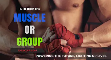Muscle Group Abilities: Unlocking Strength, Flexibility, and Endurance
