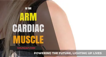 Is the Arm's Cardiac Muscle a Myth or Reality?