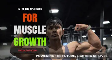 The Bro Split: Effective for Muscle Growth or Just Hype?