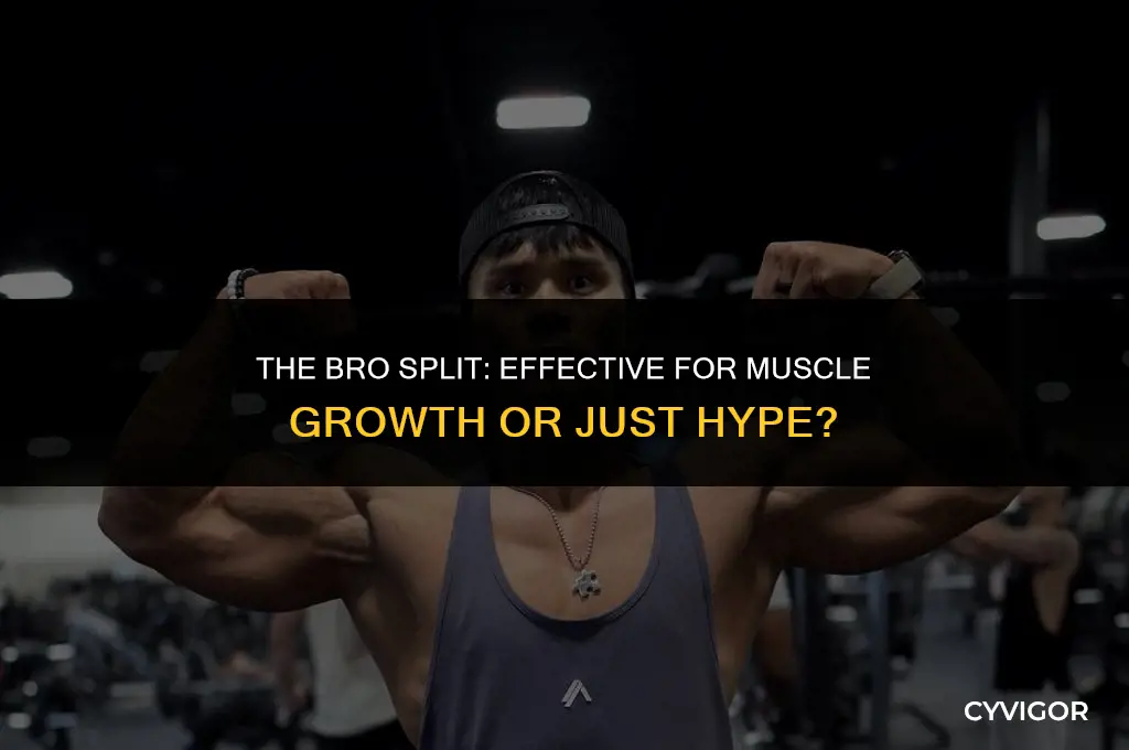 is the bro split good for muscle growth