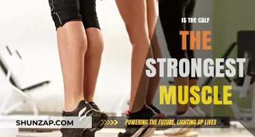 Unleashing Power: The Calf Muscle's Surprising Strength