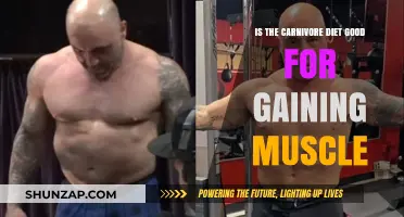 Carnivore Diet for Muscle Gain: Effective Strategy or Myth?