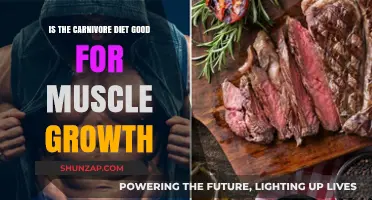 Can the Carnivore Diet Boost Your Muscle Growth?