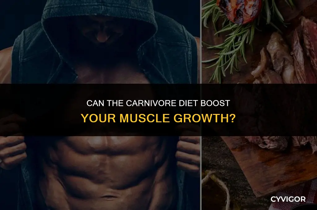 is the carnivore diet good for muscle growth