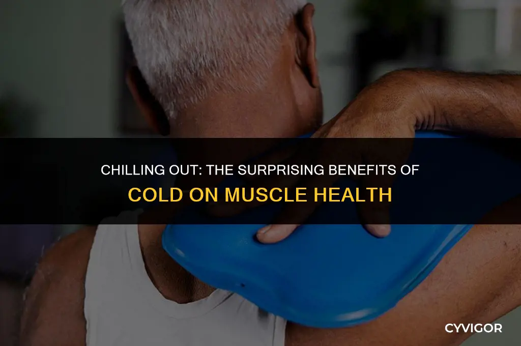 is the cold good for muscles