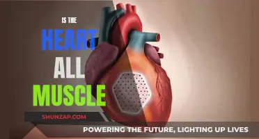 The Heart's Complexity: Beyond Just Muscle