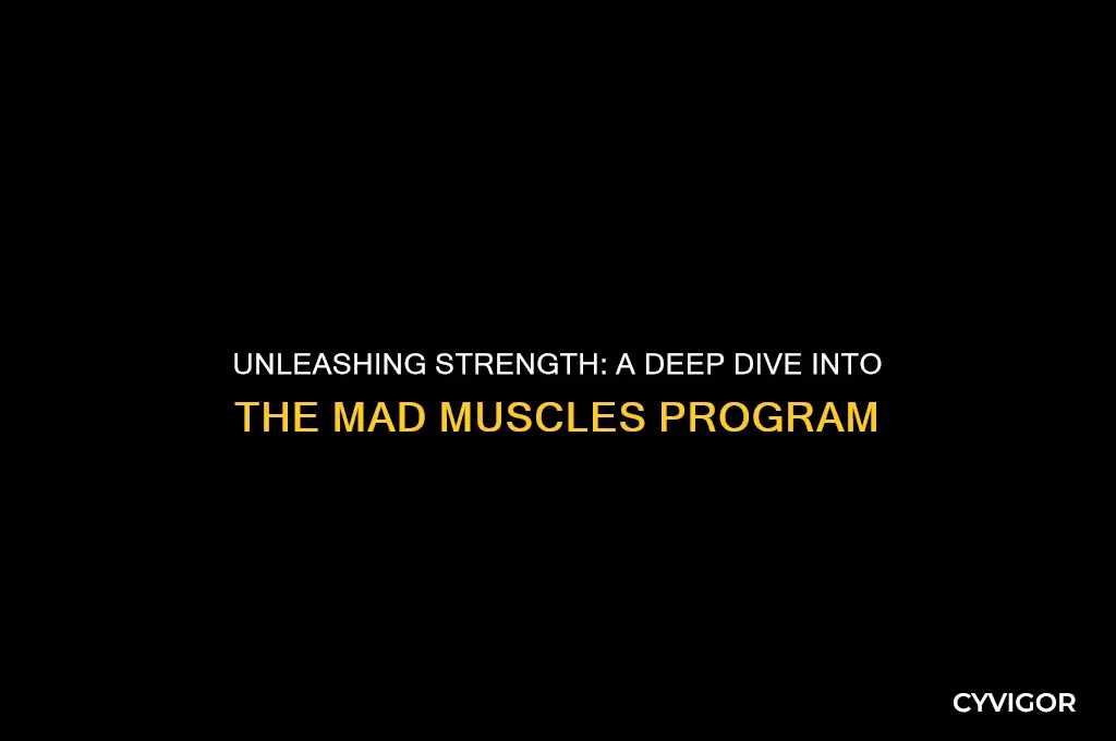 is the mad muscles program good