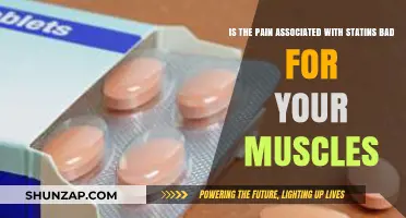 Statin Muscle Pain: Understanding Risks, Causes, and Management Options