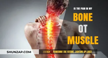 Bone or Muscle Pain: Understanding the Source of Your Discomfort