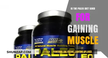 Paleo Diet for Muscle Gain: Effective Strategy or Myth?