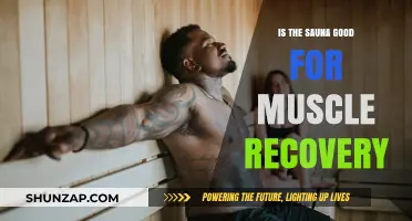 Sauna Benefits: Enhancing Muscle Recovery Post-Workout – What You Need to Know