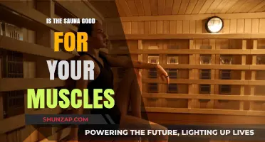 Unveiling the Muscle Benefits of Sauna: A Comprehensive Guide