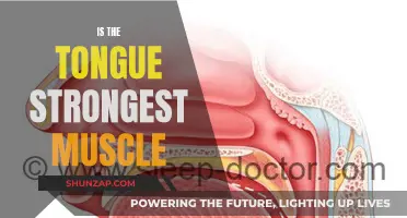 Tongue: The Surprising Power of a Small Muscle