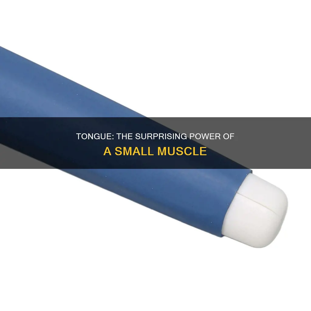 is the tongue strongest muscle