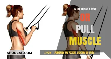 Tricep: Push or Pull? Understanding Its Role in Strength Training