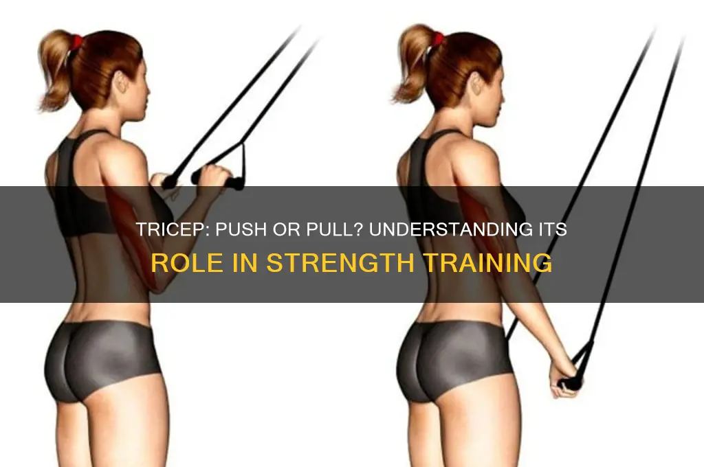 is the tricep a push or pull muscle