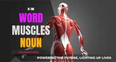 Muscles: Exploring the Powerful Noun in Our Language