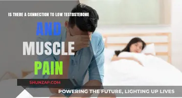 Low Testosterone and Muscle Pain: Exploring the Potential Connection