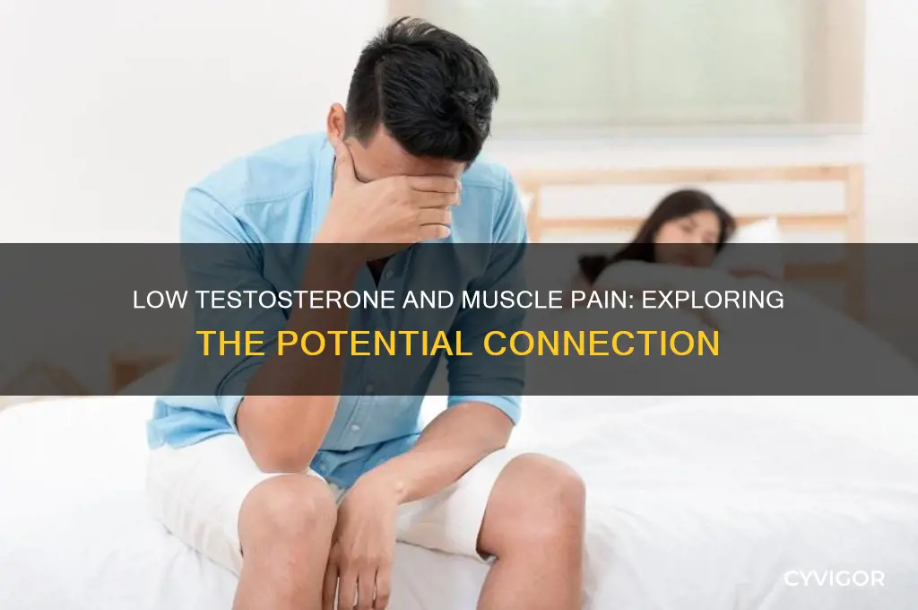 is there a connection to low testosterone and muscle pain