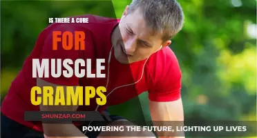 Exploring the Elusive Cure for Muscle Cramps: A Comprehensive Guide