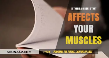 Unraveling the Mysteries of Muscle Ailments: A Comprehensive Guide