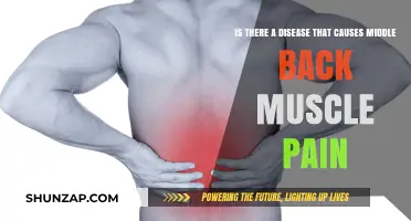 Understanding Middle Back Muscle Pain: Uncovering Underlying Diseases