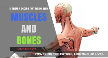 Muscle and Bone Specialists: Who Treats These Issues?