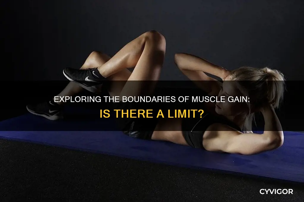is there a limit to muscle gain