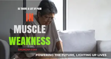 Muscle Weakness and Pain: Understanding the Connection and Impact
