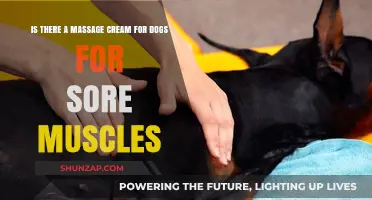 Soothing Sore Muscles: Best Massage Creams for Dogs Revealed