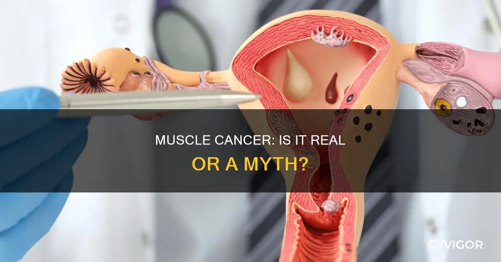 is there a muscle cancer