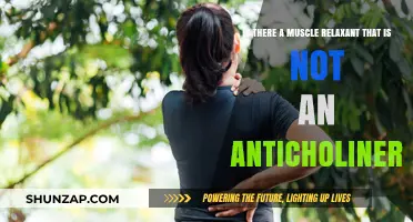Non-Anticholinergic Muscle Relaxants: Exploring Safer Alternatives for Relief