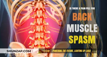 Effective Pain Relief Options for Back Muscle Spasms: What Works?