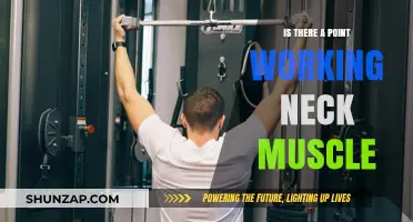 Strengthening Neck Muscles: Worth the Effort or Just a Stretch?
