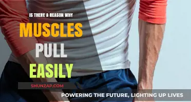 Why Do Muscles Pull Easily? Understanding Causes and Prevention