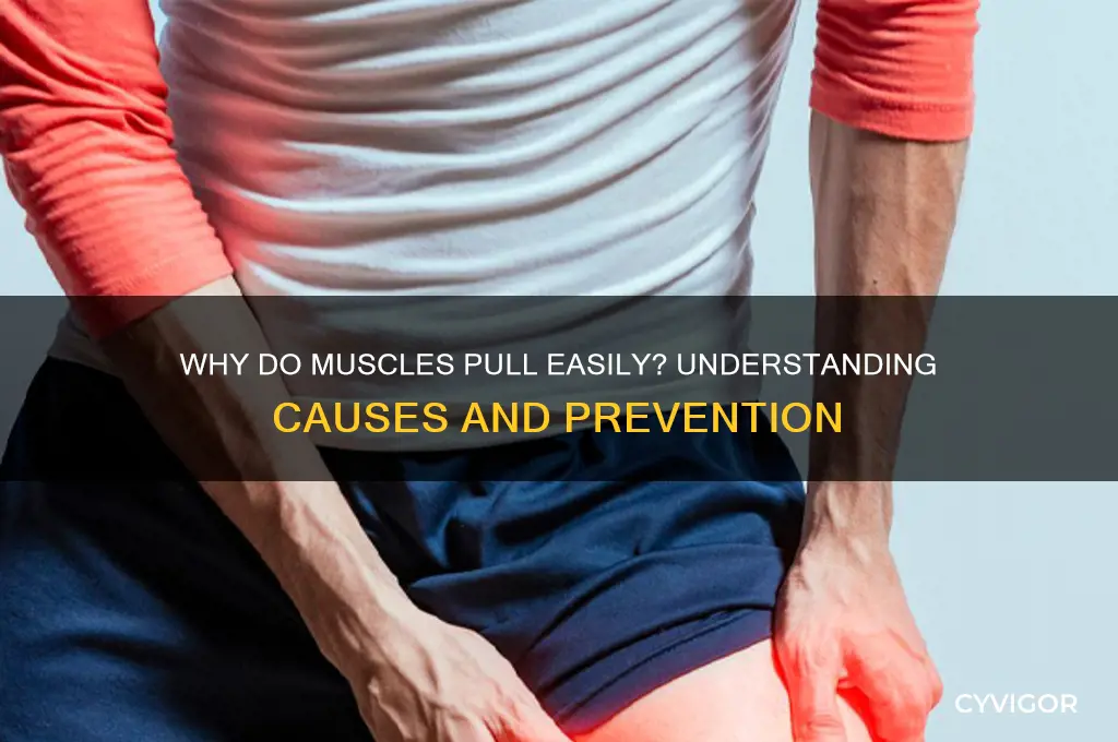 is there a reason why muscles pull easily