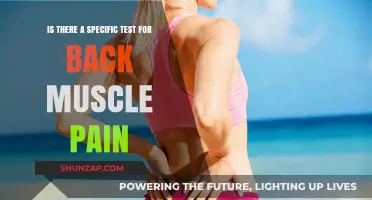 Diagnosing Back Muscle Pain: Are There Specific Tests Available?