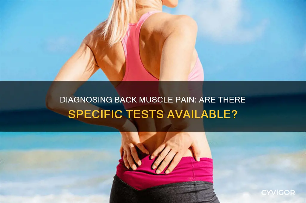is there a specific test for back muscle pain