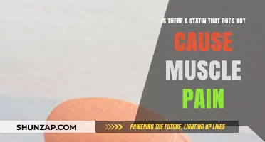 Statins and Muscle Pain: Are There Alternatives?