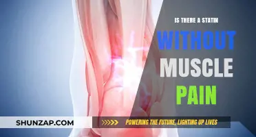 Statins Without Muscle Pain: Exploring Side-Effect-Free Cholesterol Solutions